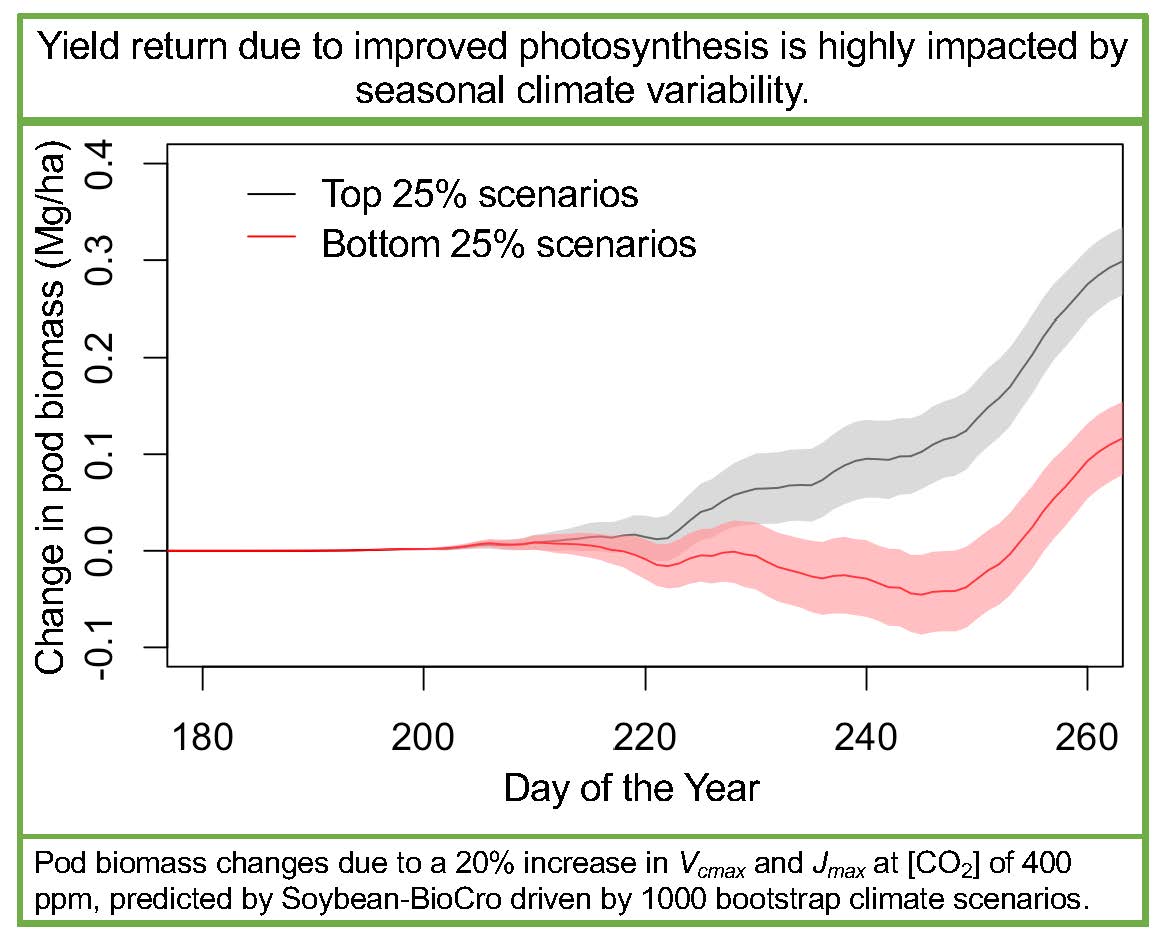 Yield return due to improved photosynthesis is highly impacted by seasonal climate variability, graph proves point
