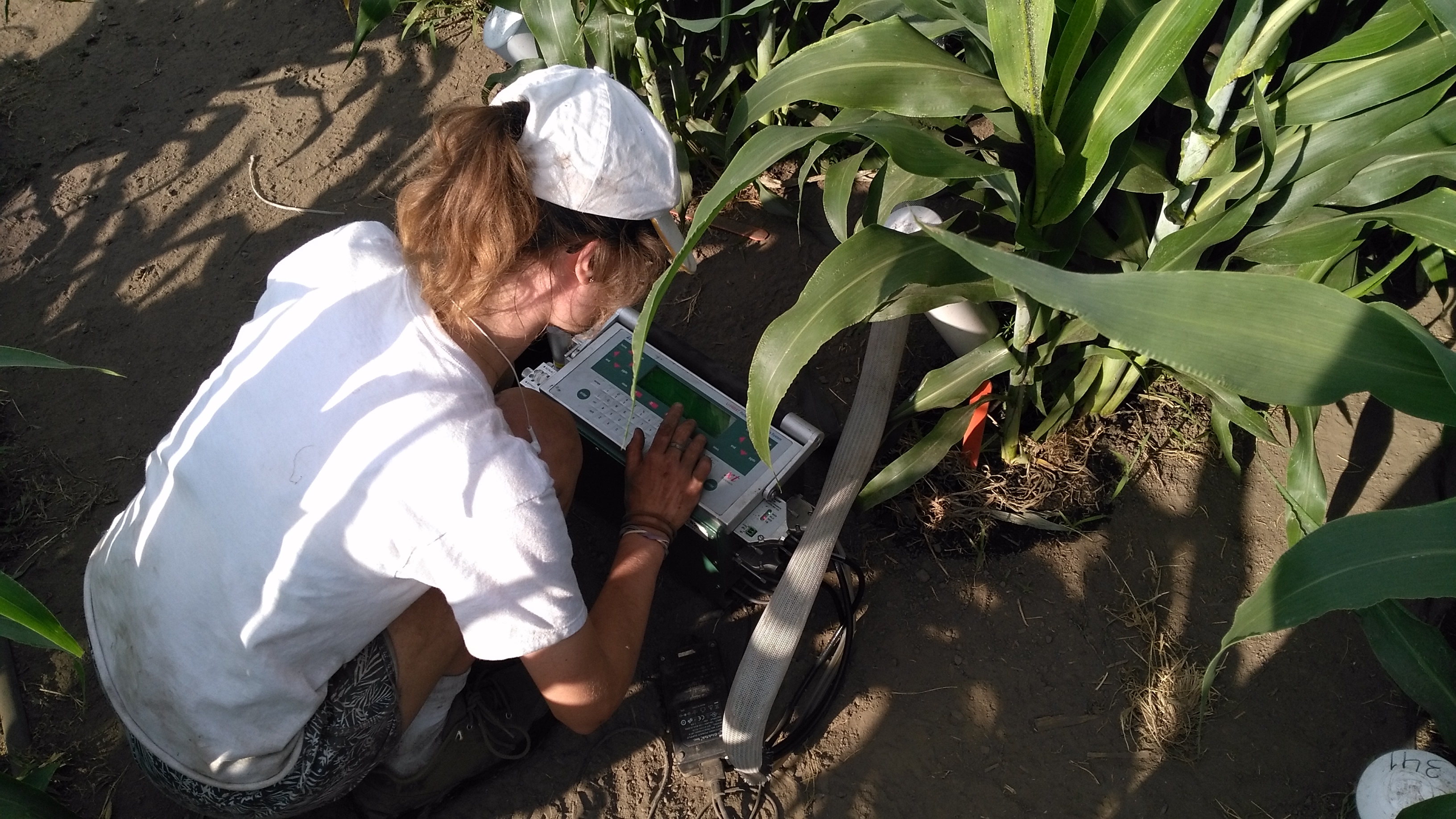 Oxford intern collecting data