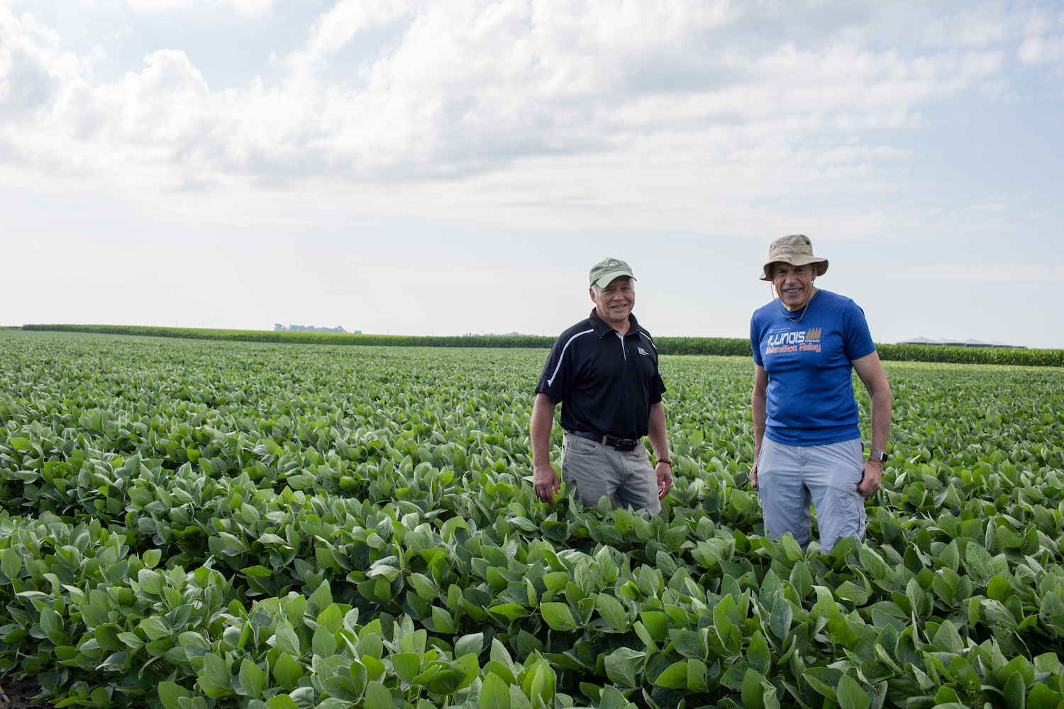 Long, Ort soybean field