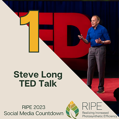 RIPE 2023 Social Media Countdown #1: Steve Long TED Talk