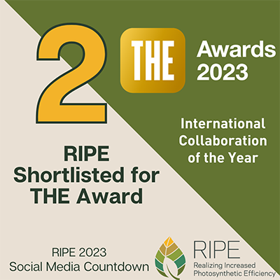 RIPE 2023 Social Media Countdown #2” RIPE Shortlisted for THE Awards