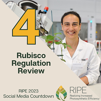 RIPE 2023 Social Media Countdown #4: Rubisco Regulation Review