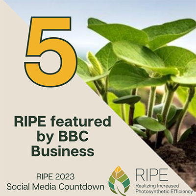 RIPE 2023 Social Media Countdown #5: RIPE featured by BBC Business
