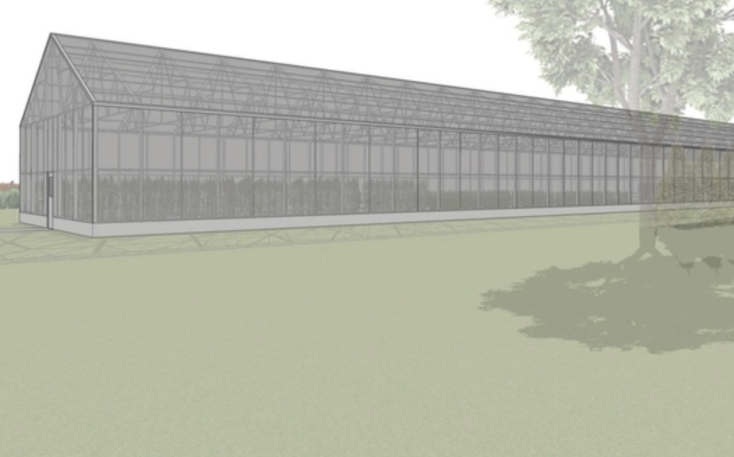 Greenhouse rendering