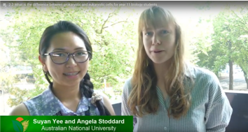 Suyan Yee and Angela Stoddard