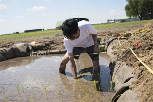 Tanaka Paddy