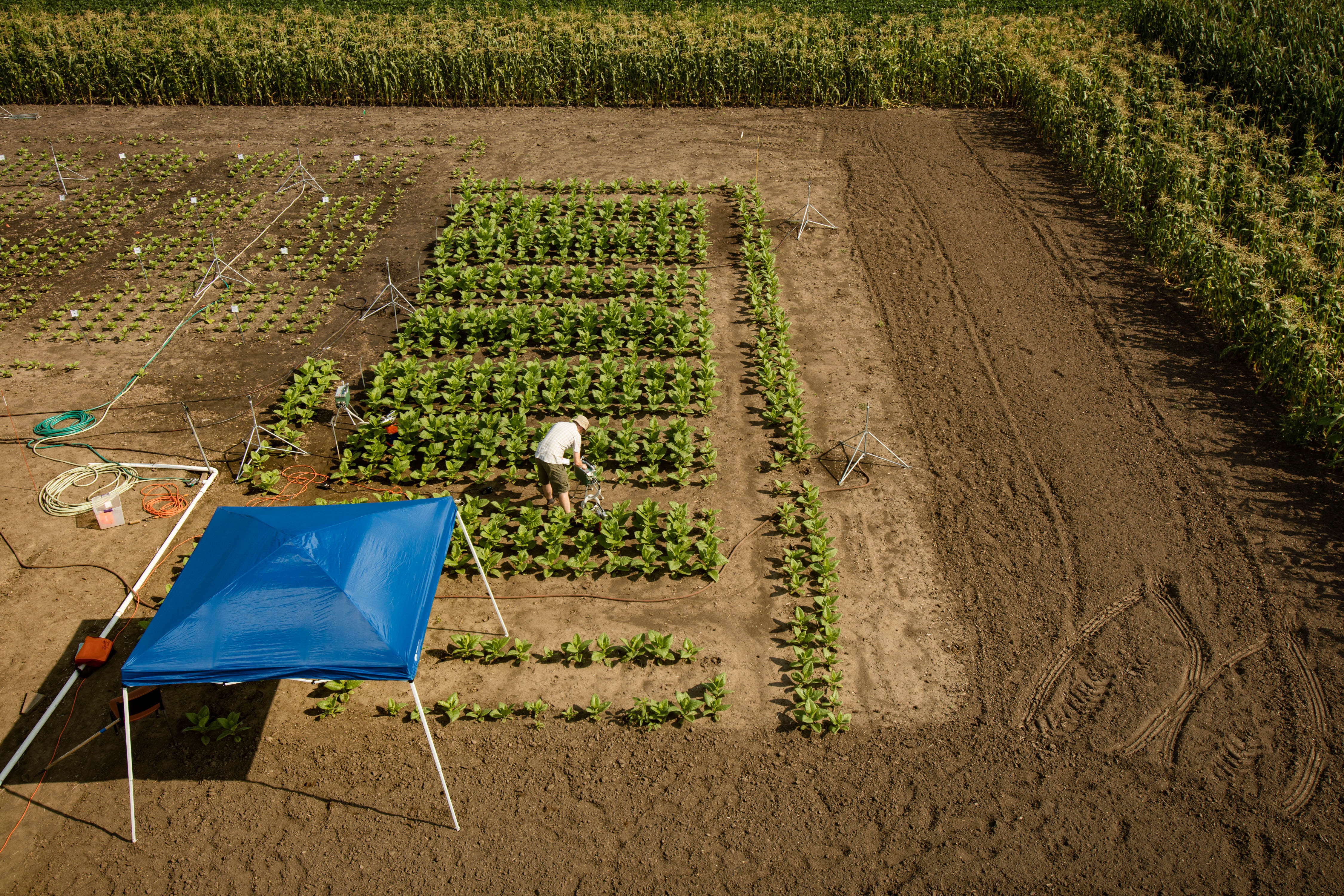 Picture of the 2016 field trials