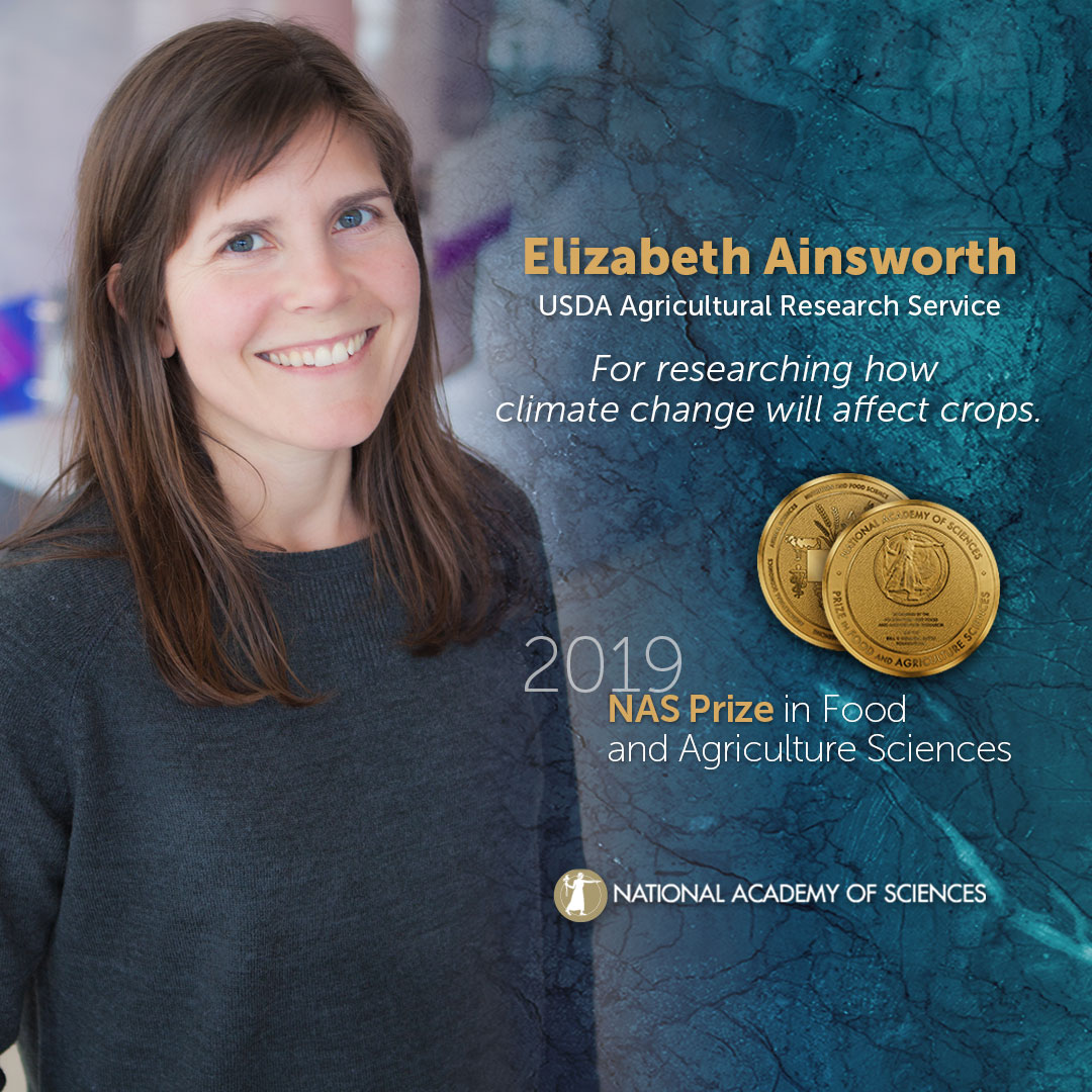Image of Lisa Ainsworth overlaid with text about the award. 
