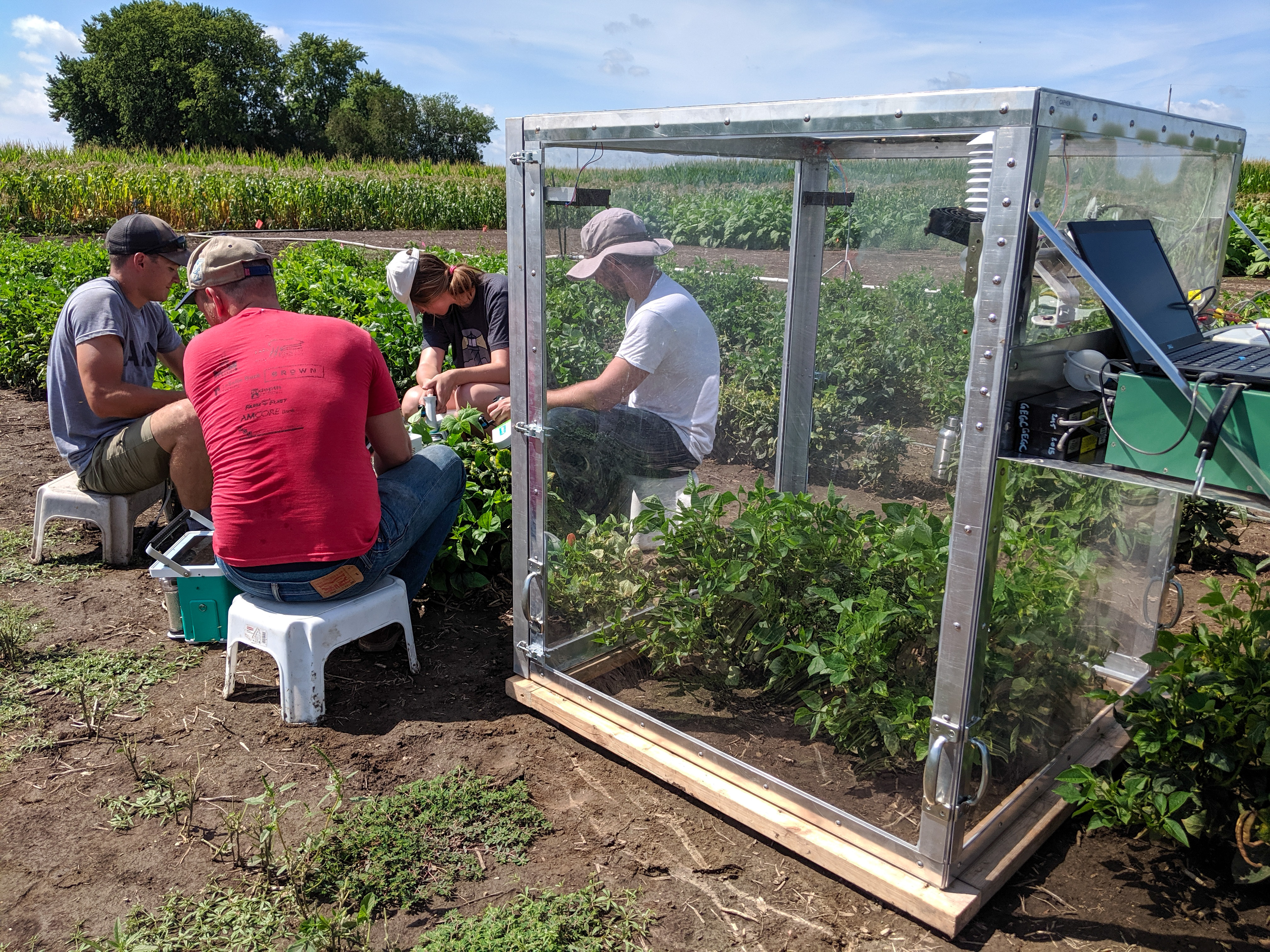 Cowpea research team