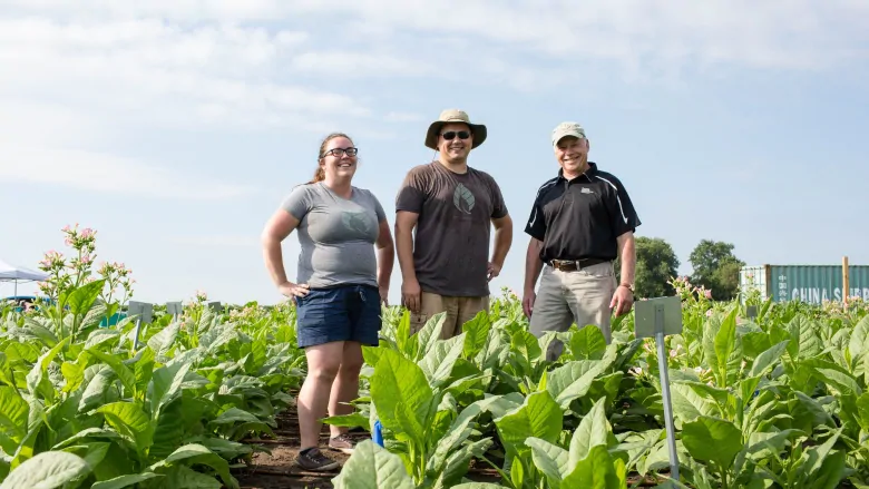 Scientists in field