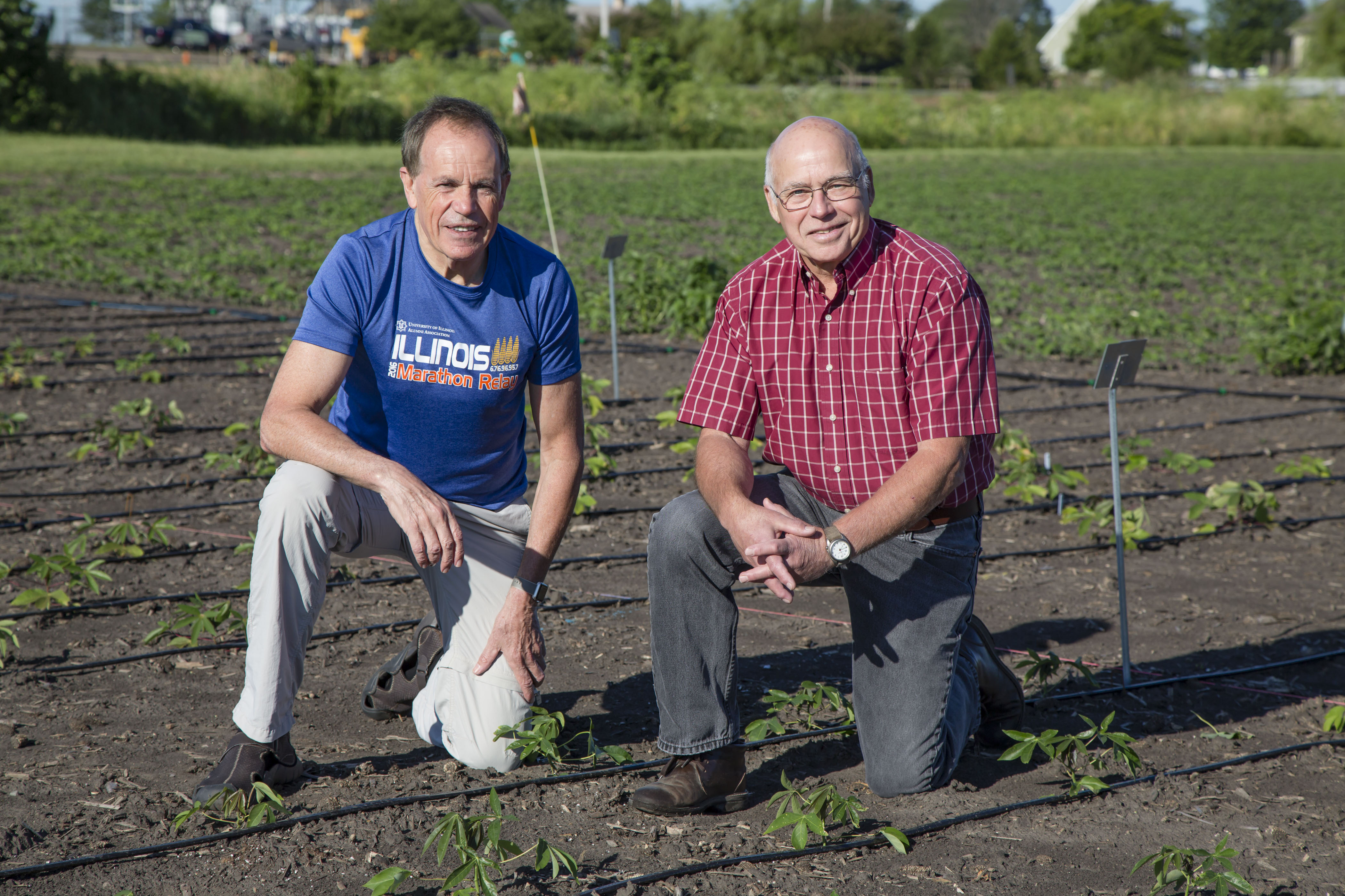 Two men kneeling on the ground in a field with small plants around them.