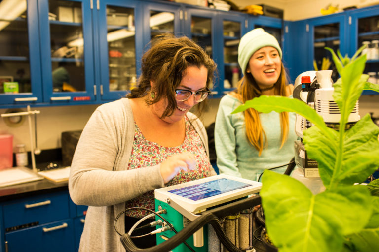 Amanda Cavanagh measuring photosynthesis 