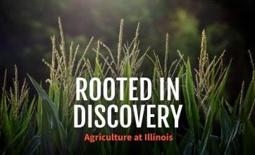 Rooted in Discovery, Agriculture at Illinois