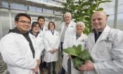 Team stands in greenhouse holding plant.