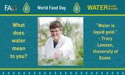 A teal backdrop, textured in the middle. Top bar FAO, World Food Day, Water is Life Water is Food, separated by rain drops. Left column What does water mean to you? Right column “Water is liquid gold.” - Tracy Lawson, University of Essex. A picture of Tracy Lawson surrounded by plants is in the middle of the image.