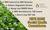 RIPE 2023 Social Media Countdown 5. RIPE featured by BBC Business 4. Rubisco Regulation Review 3. Niyogi Lab CRISPR Work 2. RIPE Shortlisted for THE Award 1. Steve Long TED Talk