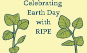 The words Celebrating Earth Day with RIPE are in the middle, each side has a soybean stem with leaves