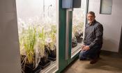 Carl Bernacchi kneeling next to a refrigerator full of plant samples.