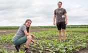 Researchers stand in field trials. 