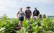 Three researchers stand in field trial.