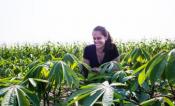 Amanda De Souza in a cassava field