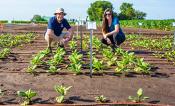 A man and a woman smile at the camera while standing among rows of young, green plants.