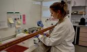 A woman in a lab space works with her arms under a protective bar surrounded by standard lab equipment.